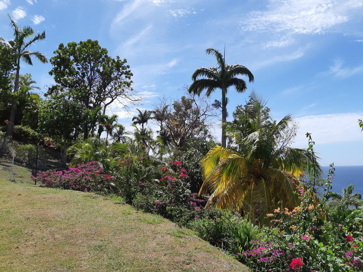 Domaine Choco Vanille Deshaies Exterior foto